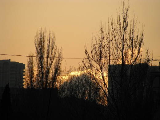 331277 (a): :1600x1200